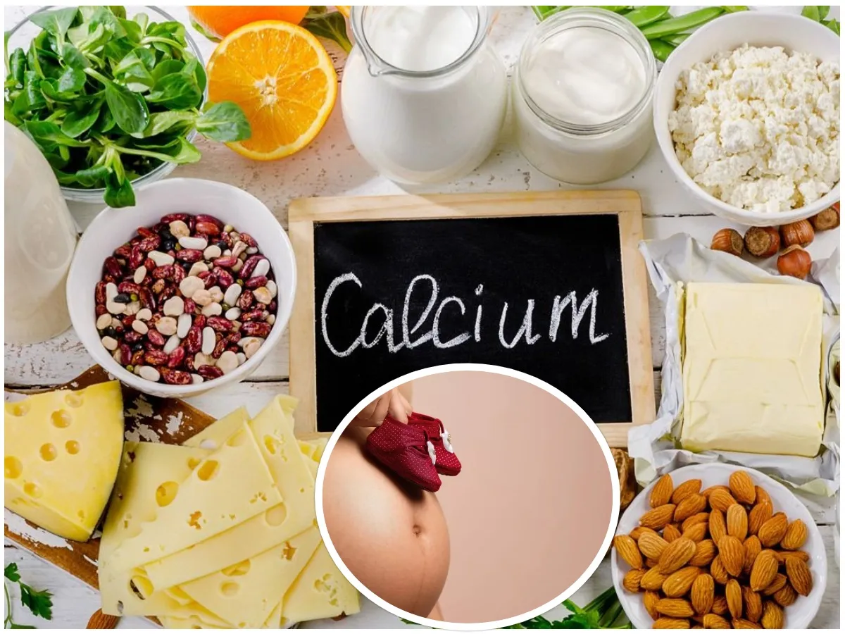 Calcium - For Healthy Bones And Teeth